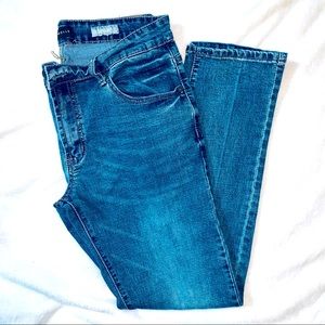 Aeropostale Mens Skinny Jeans